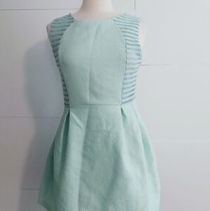 Thxgiving L Mint Green Dress Mini Modern Cottagecore Chic Holiday Party
